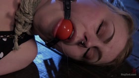 Anna Tyler in Hogtied