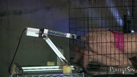 Caged Up for the Fucking Machines