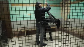 Jail Time