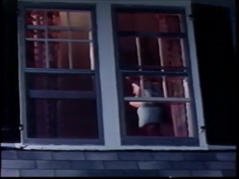 Vintage BDSM Porn