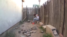 In the Alley