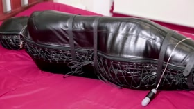 Bagged up in Leather
