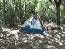 Gone Camping