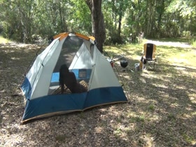 Gone Camping