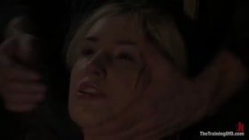 Slapping the Bitch
