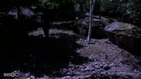 Helena Price in Dungeon