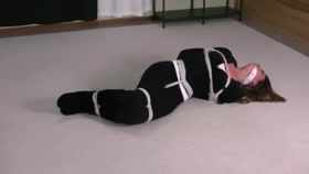 Bondage Michief