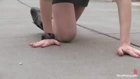 Just Walking The Pet
