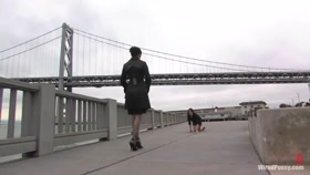 Just Walking The Pet