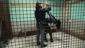 Jail Therapy