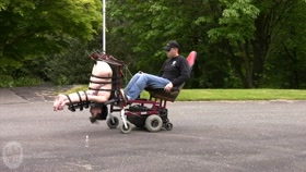 Stylish Ride