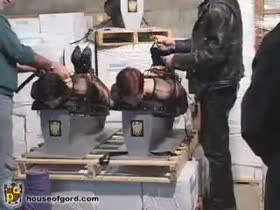 Getting Ready For the Shipment