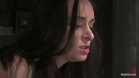 Maya Matthews