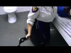 Life in the Prison