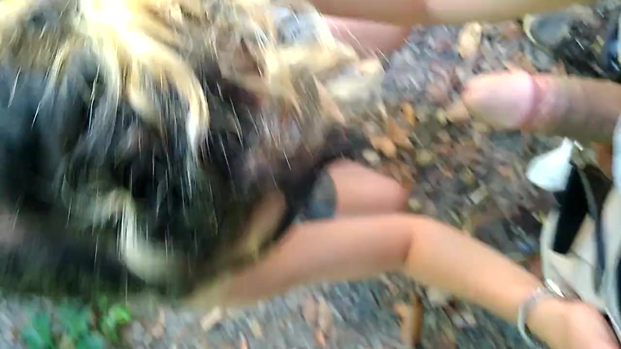 Blowjob in the Woods