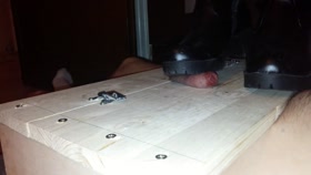 Cock Trampling Box