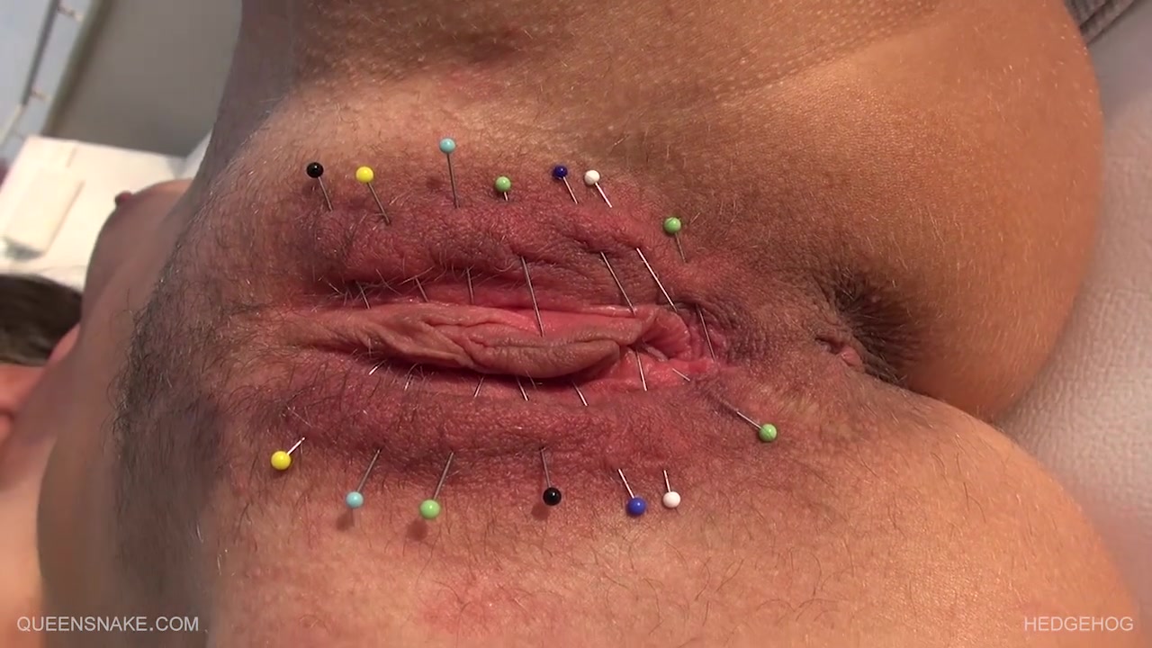 Hedgehog - Queensnake Extreme Cunt Torture