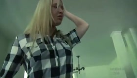 Calico and PD in Farm