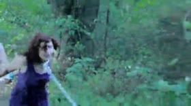 In the Woods