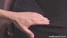 Black Pet
