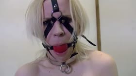 Cute gagged and Collared Blonde