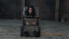 RealtimeBondage - Lavender Rayne