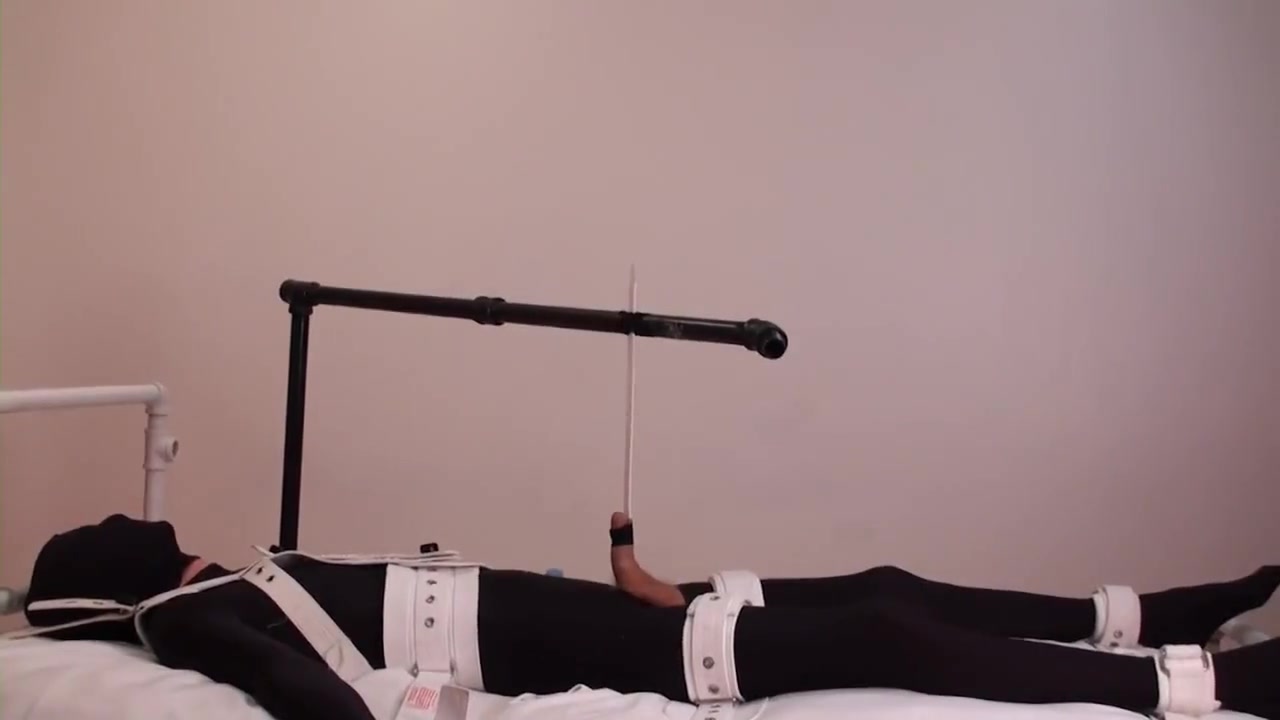 Carlin Teases Cock