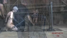 Cherry Torn - Pigdog's Problem - Part 1