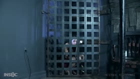 Cage and Restraints
