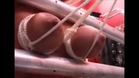 Torture Galaxy - Tit Training Day 3