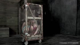Flesh Circus - Tracey Sweet and Sarah Jane Ceylon