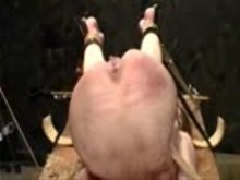 Extreme Cuntwhipping and torture