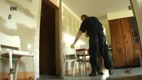 Insex - Pogo's Vacation