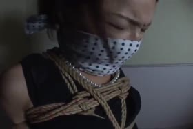JAV - Aki