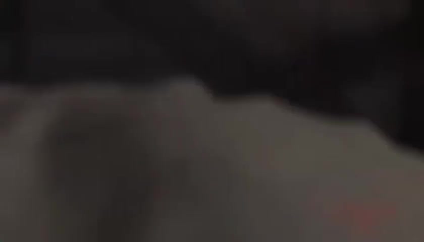 The Bondage Piggy