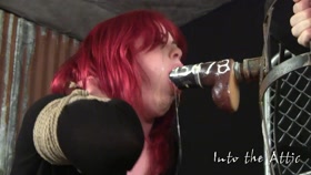 Into The Attic - Redhead Training
