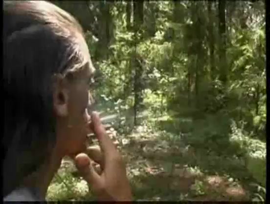 Caught Alone in the Woods
