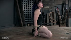 Fawn Locke