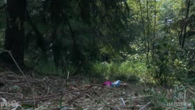 Elle Vonena in the Woods