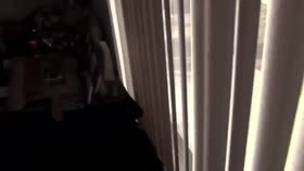 Drea Morgan Roped and Hogtied