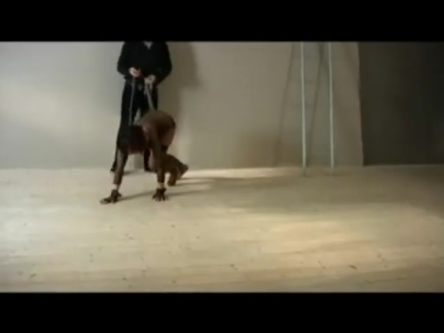 Pet Girl on a Leash