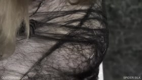 Queensnake.com - Spider Silk