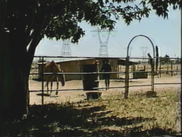 Devonshire Productions 8 - The Horse Thief