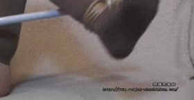 Natsukawa Rika - Spreader Bar