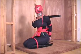 Summer Gagged and Bound