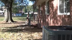 Brutal Ropes