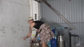 Milking Machine in Action