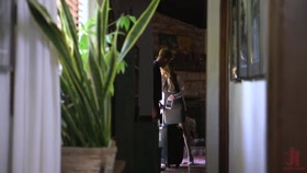 The Renter