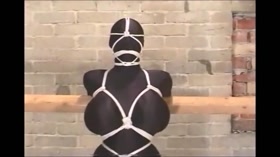 Devonshire Bondage - Summer Cummings