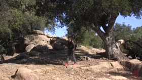 Demi Sutra Tied Up In The Woods